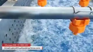 High Pressure Spraying Vegetable Bubble Washing Machine