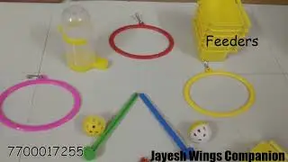 Plastic perches, Swings & Feeders