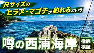 絶景！穴場！蒲郡のシークレットスポットを調査 | パームビーチ | シーサイドロード