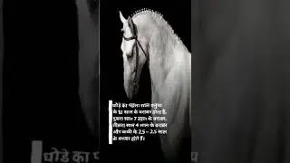 Most amazing facts about horse 🐎 | sk facts creation | #shorts