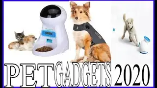 8 Amazing Gadgets & Toy You Should Have in Your Pet in 2020