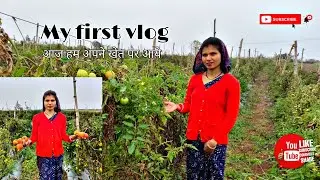 My first vlog in my farm🌾🍅 #vlog #trending #farming #dailyvlog #routinevlog #travel #update 