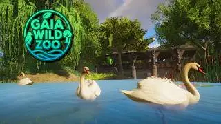 Building a Swan River Paradise! | Gaia Wild in Planet Zoo