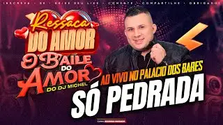 BAILE DO AMOR AO VIVO NO PALÁCIO DOS BARES DJ MICHEL 2025 SEGUNDA DA RESSACA