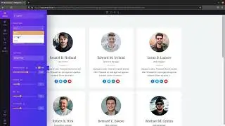 Как использовать плагин wps team members для WordPress