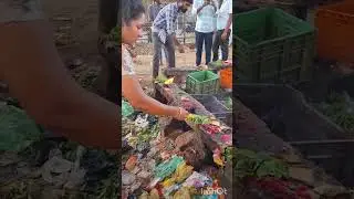 pavgada shani mahatma temple karnataka