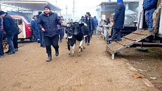 Beshariq mol bozori sotilgan va qaytgan joylaridan.