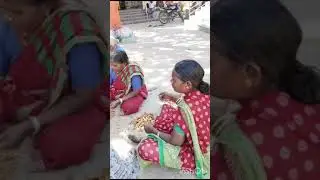 Removing Seed from tamarind