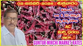 02 JANUARY 2025 GUNTUR MARKET MIRCHI RATES|గుంటూరు మిర్చి మార్కెట్ ధరలు|गुंटूर मार्केट मिर्च के रेट