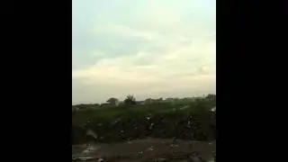 Surabaya parrot lovers free flight (sc,falk,lb)