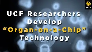 UCF Researchers Develop &ldquo;Organ-on-a-Chip&rdquo; Technology