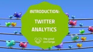 How to use Twitter Analytics to measure your charitable online activities