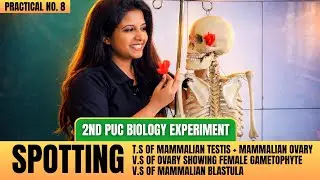 FULL Demo: Sectional View Of Ovary, Testis & Blastula Spotting 🌼🔬 | 2nd PUC Biology Practicals (E8)