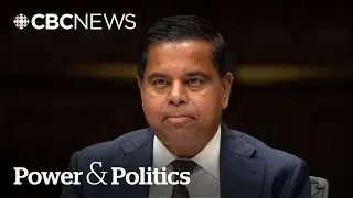 Liberals expect 'broader support' for border bill despite rights concerns | Power & Politics