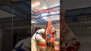 &ldquo;Breaking Down the Process&rdquo; #butcher #breaking #breakingdown #pinoy #italy #rome #ofwlife #abroad