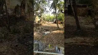 Plot Sale North Goa - Penha De Franca #goaplotsale #goaplots #goavillas #northgoaplots