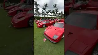 Behold the Ferrari F50, LaFerrari, and F40 at the Cavallino Classic, at The Breakers Palm Beach.