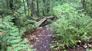 Koko Falls Portage