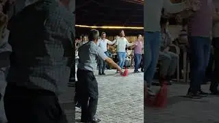 halaylar