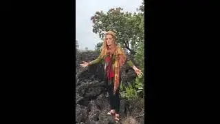 Ohia tree big island Hawaii