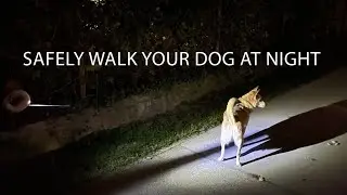 Retractable Round Dog Leash With Light