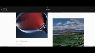 Modern Wine Shop Website Design | Boost Your Liquor Store Sales Online