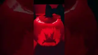 #metal #horror #halloween #pumpkin #song