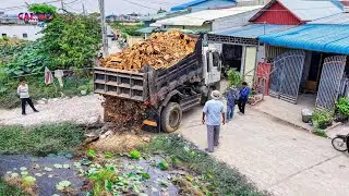 Nicely Landfill Task Start Project by Best Skill Driver 5T Trucks Unloading Soil &Dozer D20P Pushing