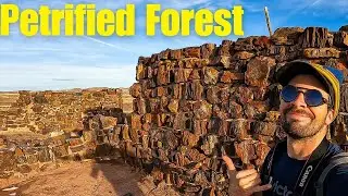 Day Trip Adventure Onyx Bridge, Blue Mesa and Agate House | Petrified Forest National Park - Day 313