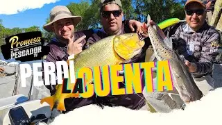 Un día de pesca increíble de Dorados Surubíes y más😎