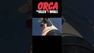 #orca #killerwhales #ocean #movie #film #trend #trending #shorts #short #shortvideo foetus scene