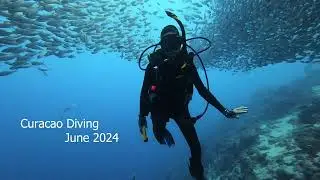 Scuba Diving on Curacao (June 2024)