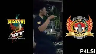 Ukuran Standar Sangkar Untuk Lomba P4LSI