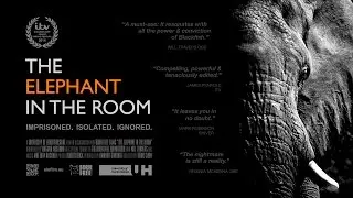 The Elephant in the Room &ndash; Narrated by Virginia McKenna