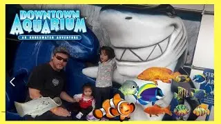 Downtown AQUARIUM At Denver Colorado An UNDERWATER Adventure Stingray Feeding Family Fun Activity