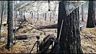 Ultimate Hunting Umbrella/ Blind