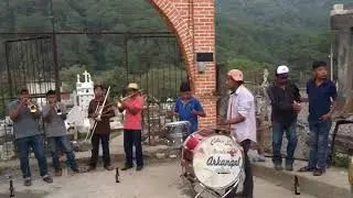 Malinaltepec querido