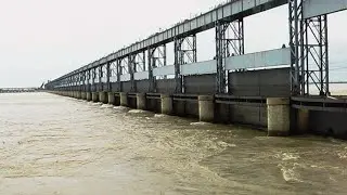 Koshi Barrage Today | More water in Koshi Bairaj, flood in Bihar | #koshibarrage​ #river​ #big river