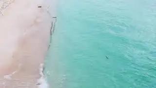 PESONA HALMAHERA TENGAH // PULAU UTA KECAMATAN PULAU GEBE KABUPATEN HALMAHERA TENGAH