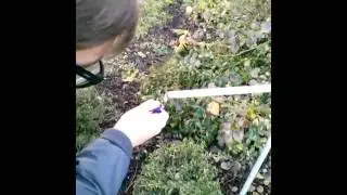 Kleine Pistole selbergebaut :)