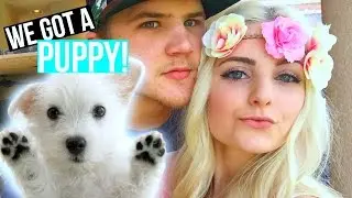 WE GOT A PUPPY?! | Aspyn + Parker
