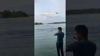 Gt fishing in GOA 🐟.                                   #fishing #goa #fishingvideo #youtubeshorts