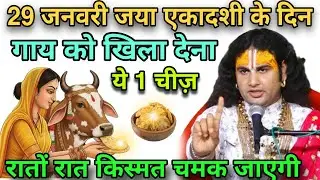 29 January 2026 जया एकादशी के दिन चुपचाप गाय को खिला देना, यह 1 चीज रातों-रात किस्मत चमक जाएगीupay