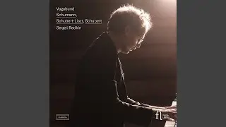 Humoreske, Op. 20: II. Hastig