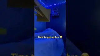 Waking bro up lol 😆 #siren #thunderbolt #federalsignal #wakeup #loudnoises #funny