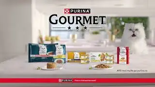 Deliciul zilnic vine din varietatea rețetelor GOURMET | Purina