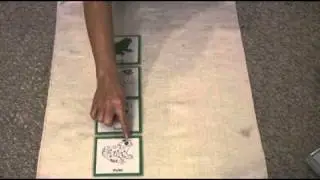 Montessori Bonus Lessons - How To Use 3 Part Cards In A Montessori Lesson