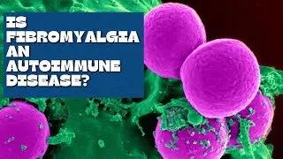 is fibromyalgia an autoimmune disease ? - Answered in this video