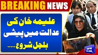 Big News for Aleema Khan | Orders From Court | PTI | Imran Khan | Dunya News