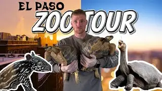 The El Paso Zoo tour NEW Exhibits